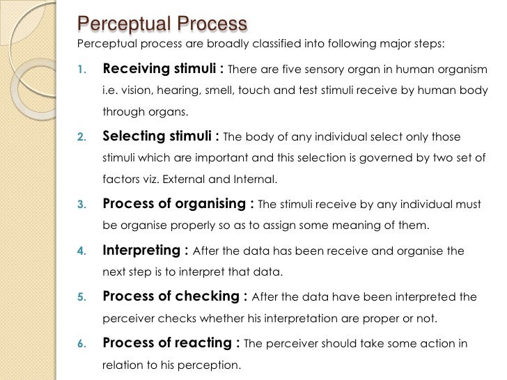 what is perception pdf importance of perception